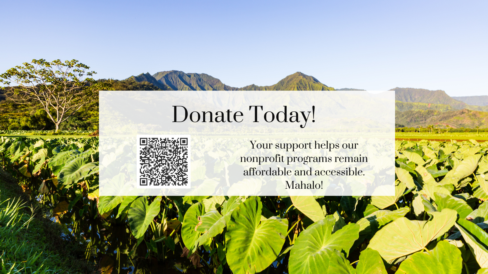 Donate%20Today%20Hula%20(1).png